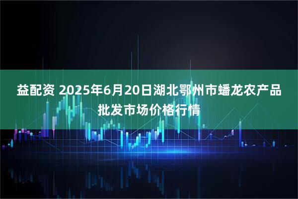 益配资 2025年6月20日湖北鄂州市蟠龙农产品批发市场价格行情