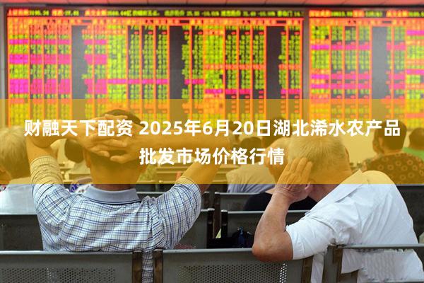 财融天下配资 2025年6月20日湖北浠水农产品批发市场价格行情