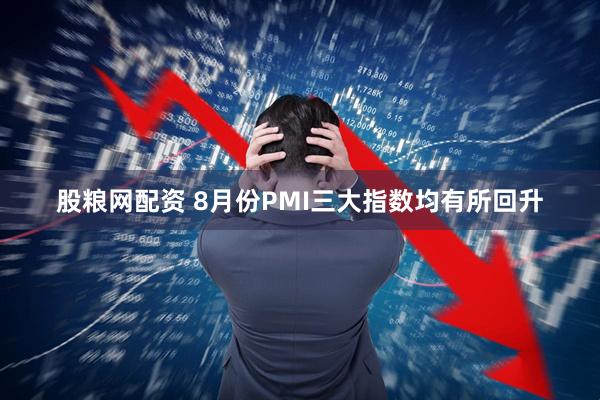 股粮网配资 8月份PMI三大指数均有所回升