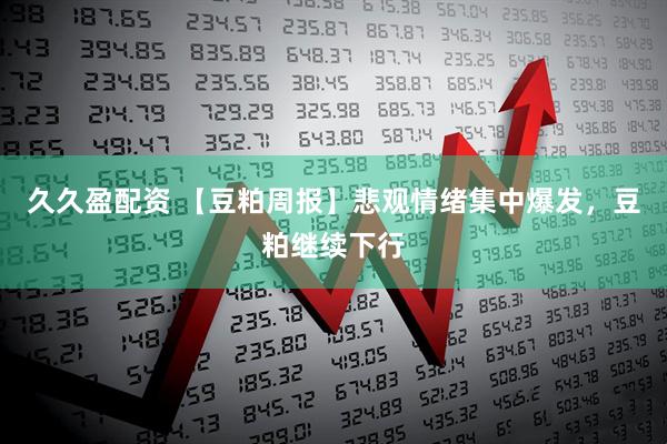 久久盈配资 【豆粕周报】悲观情绪集中爆发，豆粕继续下行