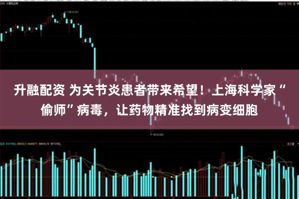 升融配资 为关节炎患者带来希望！上海科学家“偷师”病毒，让药物精准找到病变细胞