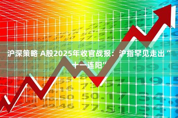 沪深策略 A股2025年收官战报：沪指罕见走出“十一连阳”